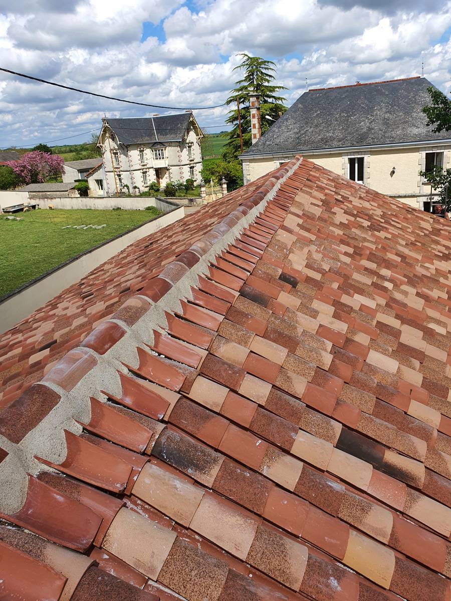 Tuiles près de Mirebeau 